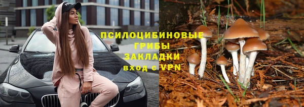 а пвп мука Струнино